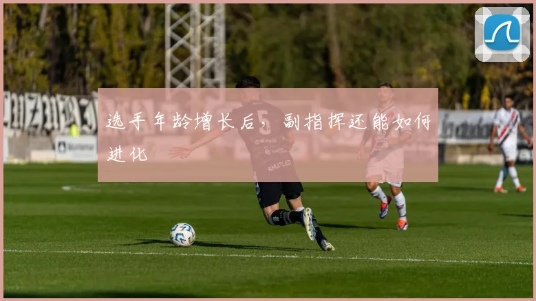 选手年龄增长后,副指挥还能如何进化
