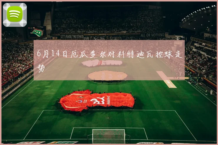 6月14日厄瓜多尔对科特迪瓦控球走势